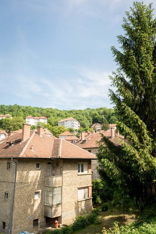 Chic Apartment Braszów Zewnętrze zdjęcie