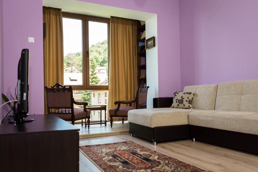 Chic Apartment Braszów Zewnętrze zdjęcie